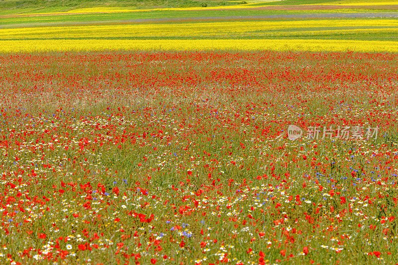 Piano Grande di Castelluccio(意大利)，绿色山丘上的村庄